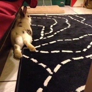 Meet your Posher, Debra-lee